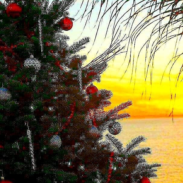 Christmas at Laguna Beach