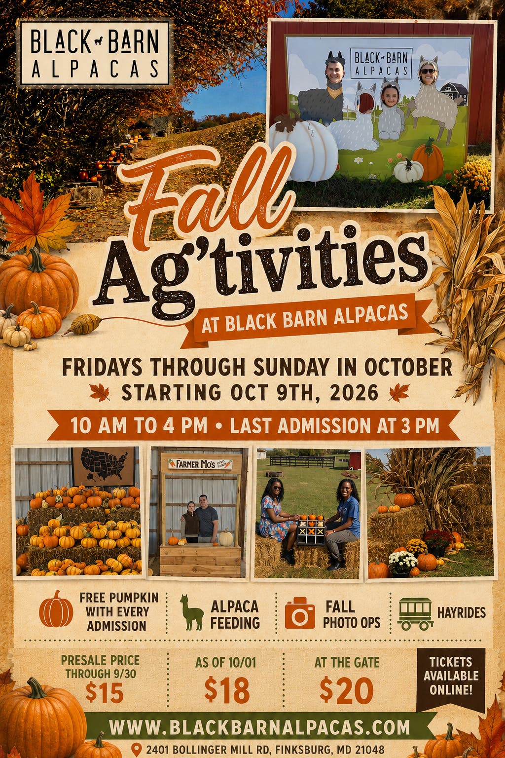 Black Barn Alpacas’ Fall ’Ag’tivities