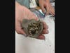 Seed balls are natural clay balls, full of seeds and soil which are dispersed to grow plants that attract bees to pollinate them.