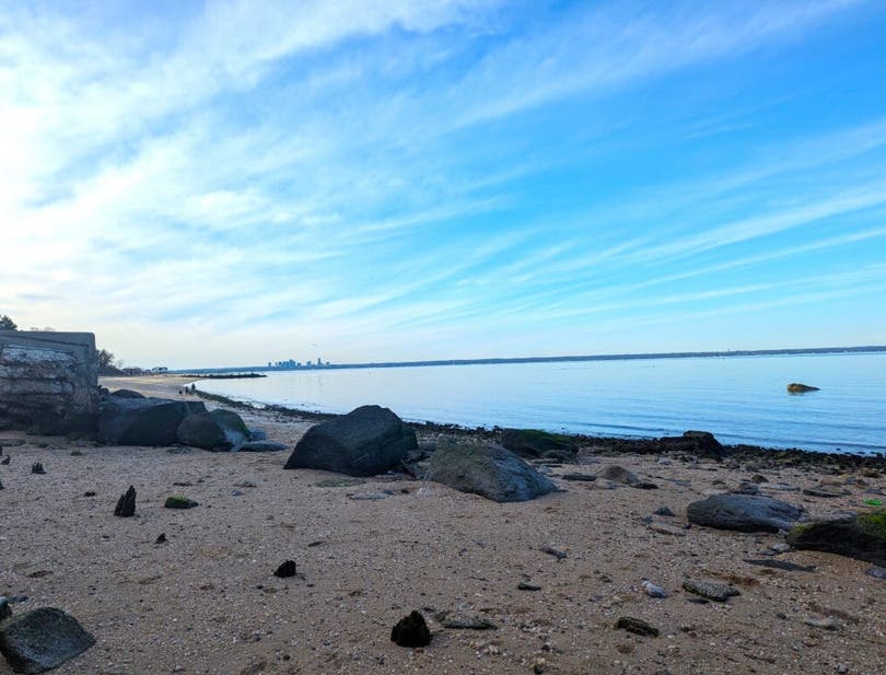 Guided Nature Walk at Sands Point Preserve