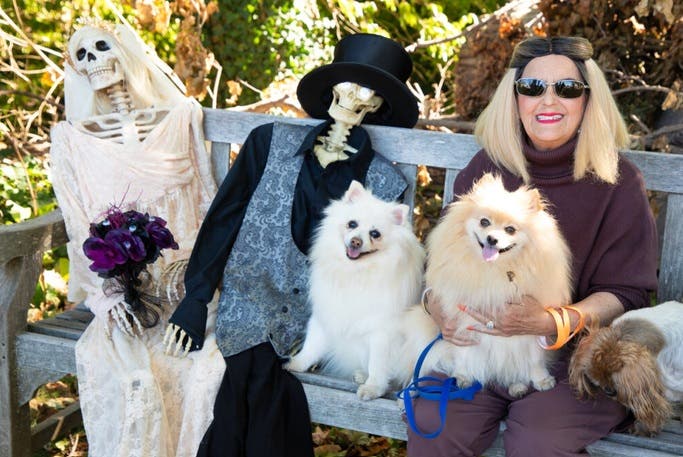 Diego’s Trunk or Treat