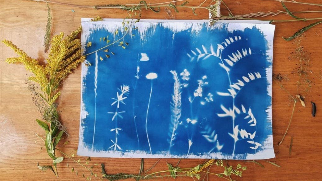 Botanical Printmaking Family Workshop