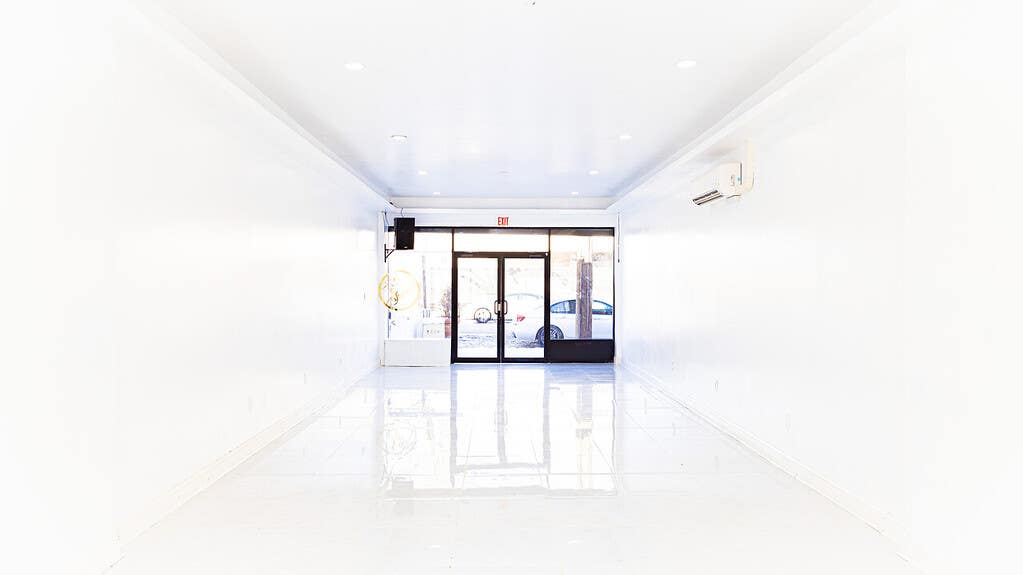 Les Scarlett studios 