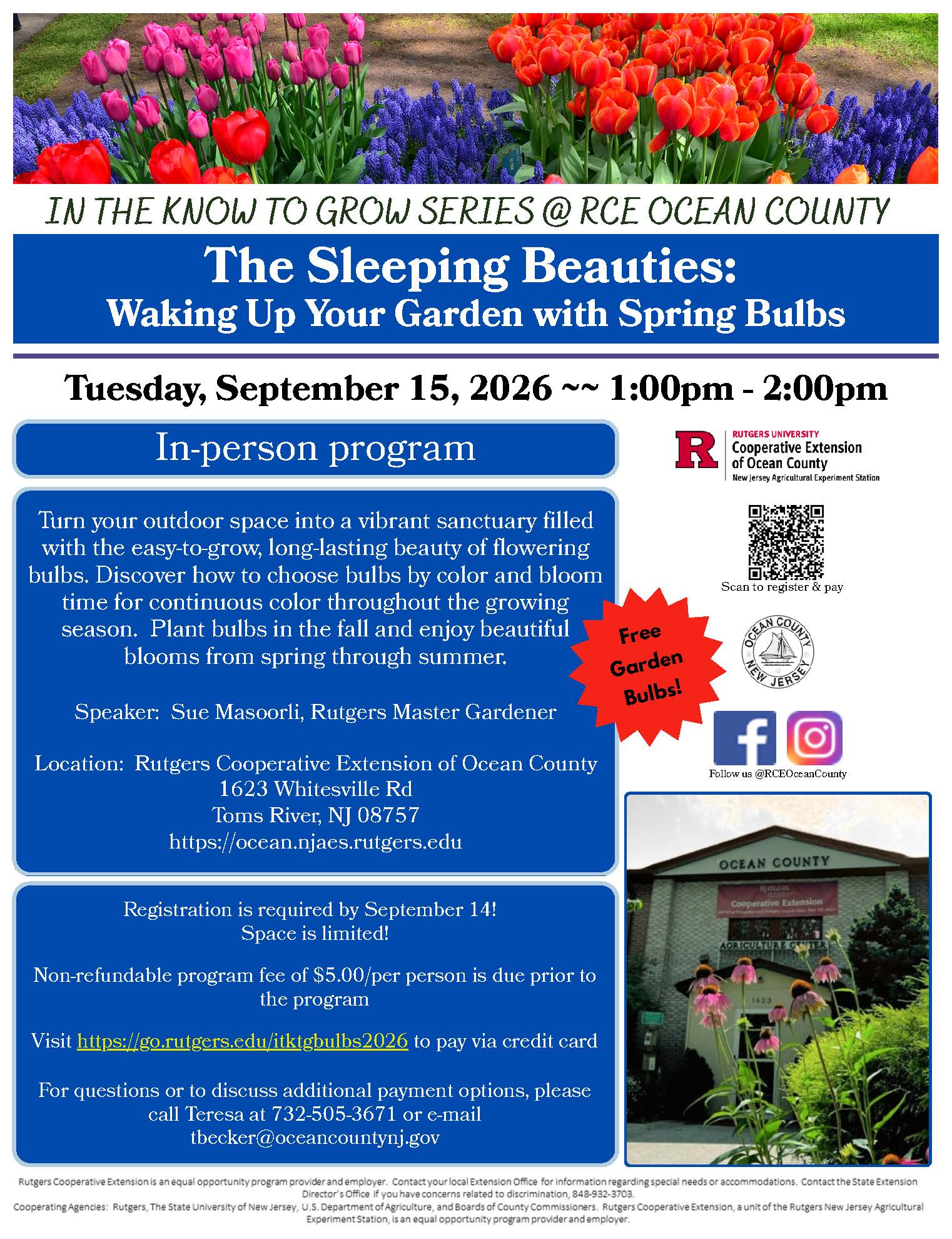 The Sleeping Beauties: Waking Up Your Garden With Spring Bulbs