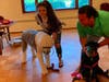 Caroline Clifford (left) tries a pet oxygen mask on her dog Eli while Chief Brandon Bach tests one on his dog LIly. 