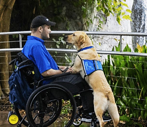 Swift Outdoor Accessible Recreation Aims to Pair Certified Service Dogs With Those in Need 