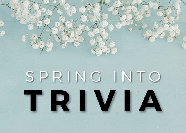 Apr 21 Virtual Trivia Night Spring Into Trivia Plainfield IL Patch