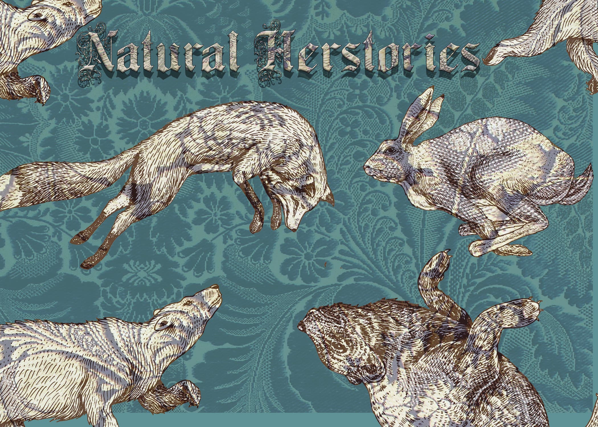 Natural Herstories Reception