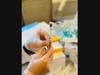 COVID-19 vaccine