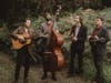 Formed on the Isle of Mull in 2014, The Often Herd—Rupert Hughes (guitar), Evan Davies (mandolin), Niles Krieger (fiddle), and Sam Quintana (bass)—has built a loyal following across the UK and Europe.