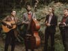 Formed on the Isle of Mull in 2014, The Often Herd—Rupert Hughes (guitar), Evan Davies (mandolin), Niles Krieger (fiddle), and Sam Quintana (bass)—has built a loyal following across the UK and Europe.