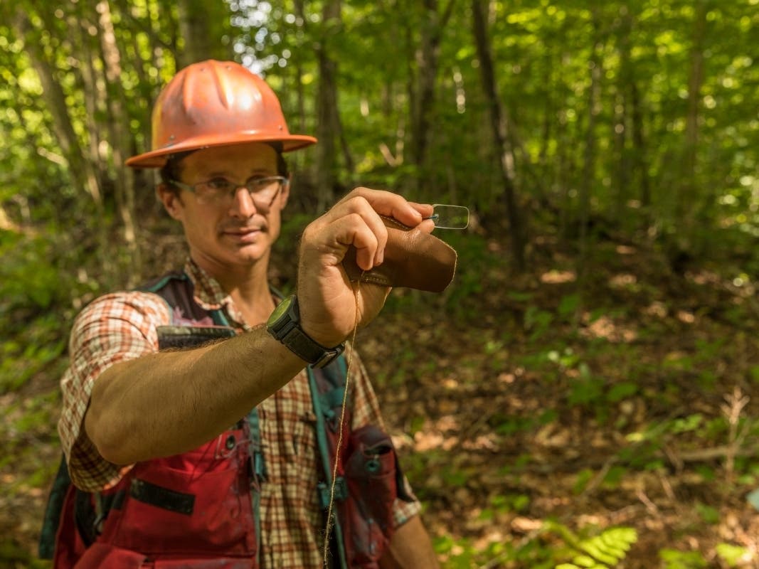 Tyler Pelland, a forester with LandVest, measures a forest in East Haven, Vermont.