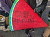 Sign referring to a rabbi, one of many, calling for human rights for all in the Holy Land.  Red, green, black, and white are the colors of a watermelon, and of the Palestinian flag. Ceasefire Now rally in Washington, DC, January 13, 2024.