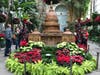 Christmas at the U.S. Botanic Gardens