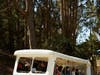 All active military personnel will ride the tram tour for free November 9-11, 2019. 