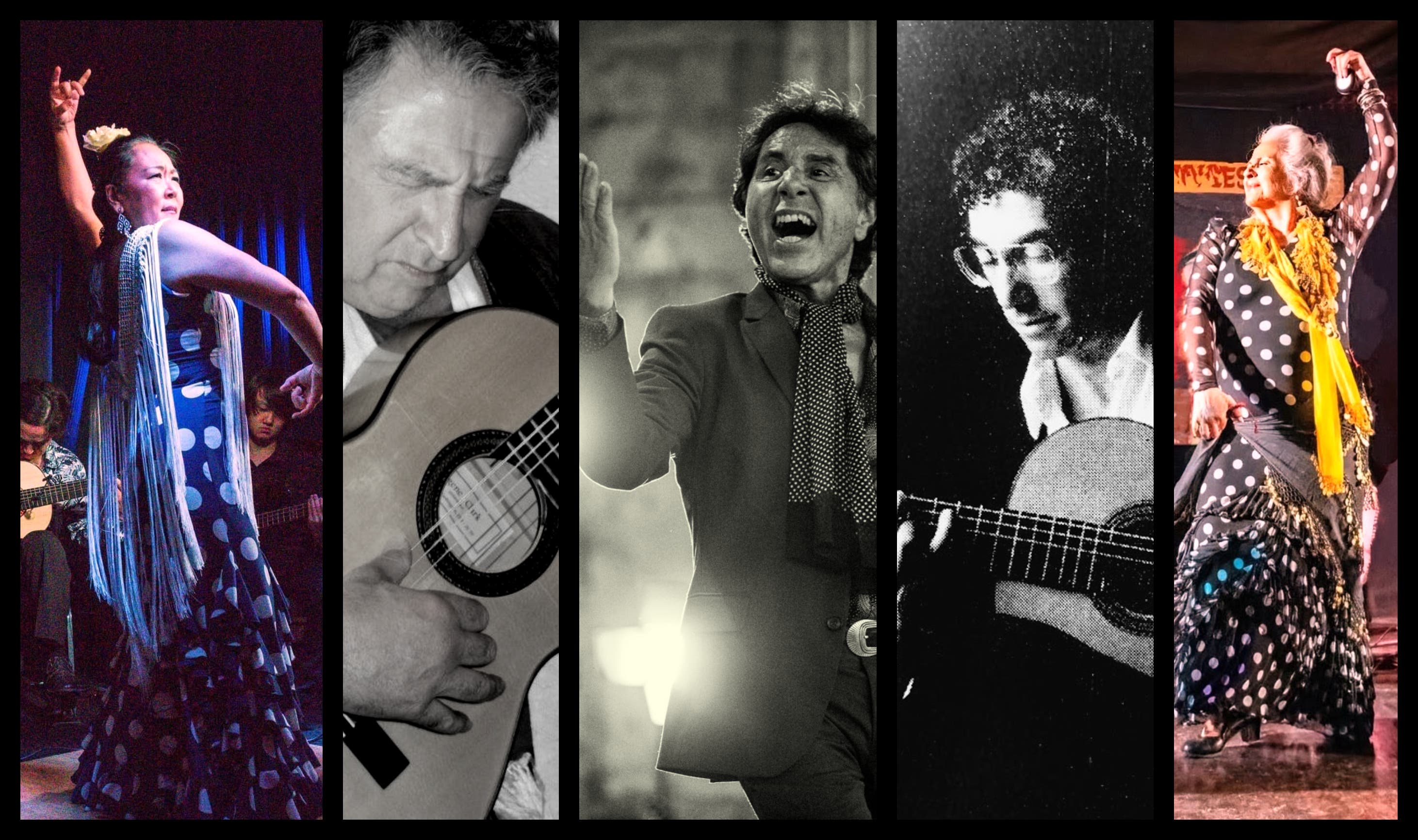 Flamenco! Live!