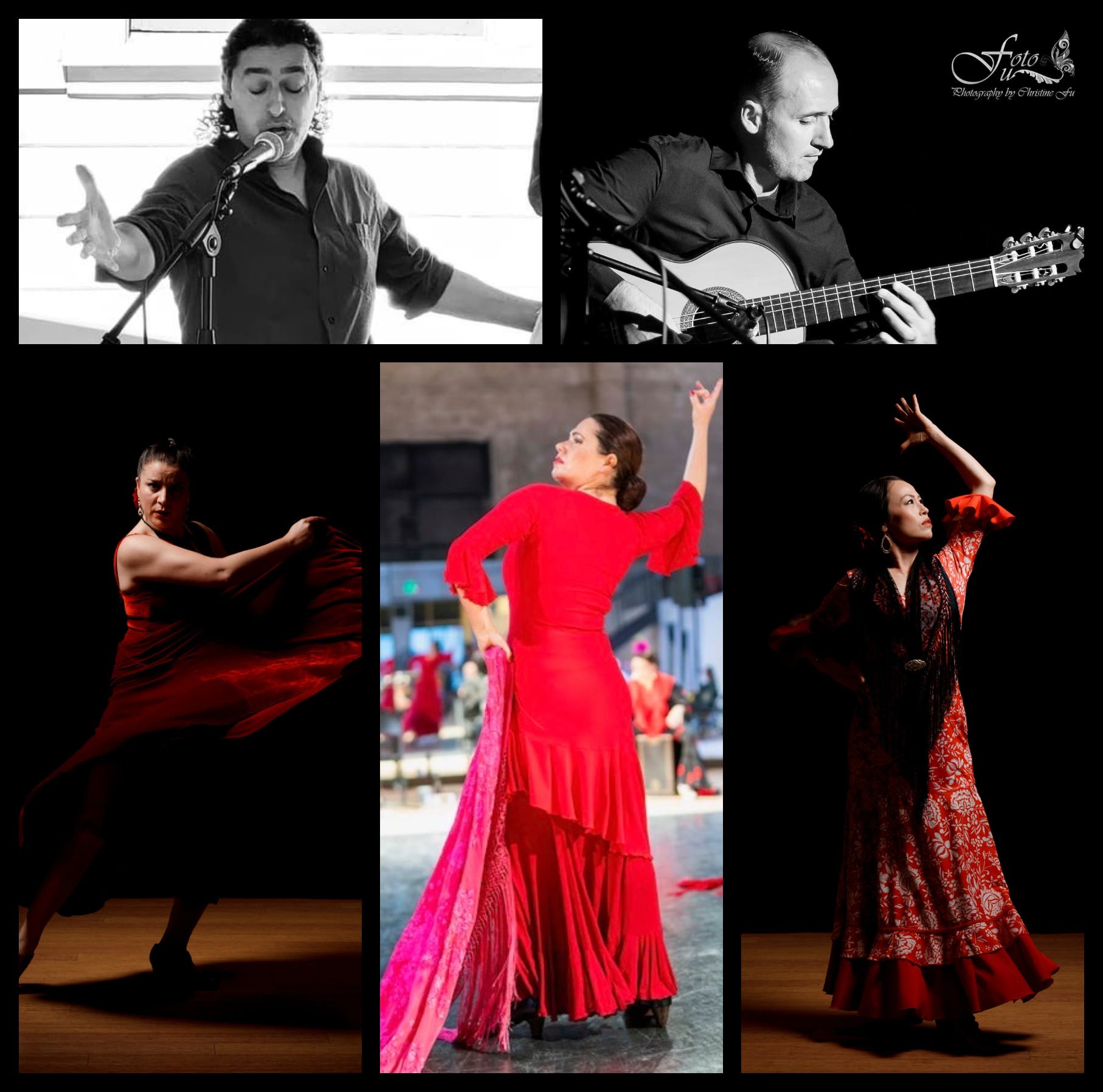 FLAMENCO! LIVE! ﻿﻿Saturday, September 12th 2026 at The Big Easy Petaluma USA