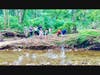Geneva's nearby creek thrums with the season change and promises loads of summer fun. Young explorers delight in skipping stones. . . They'll soon return with fish nets!