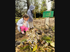 Geneva's student-architects build fairy huts in the fairy forest.
