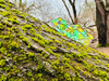 Might this frog figurine evidence good camouflage?