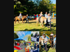 Music and Pony Rides - Trotting to the Beat!