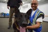 Fulfillment Center Ambassador Eugene Bridges interacts with Tucker, one of the five K-9 dogs on the visit. 