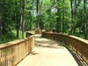 Example of boardwalk to be repaired on Ma & Pa Trail – Edgeley Grove section