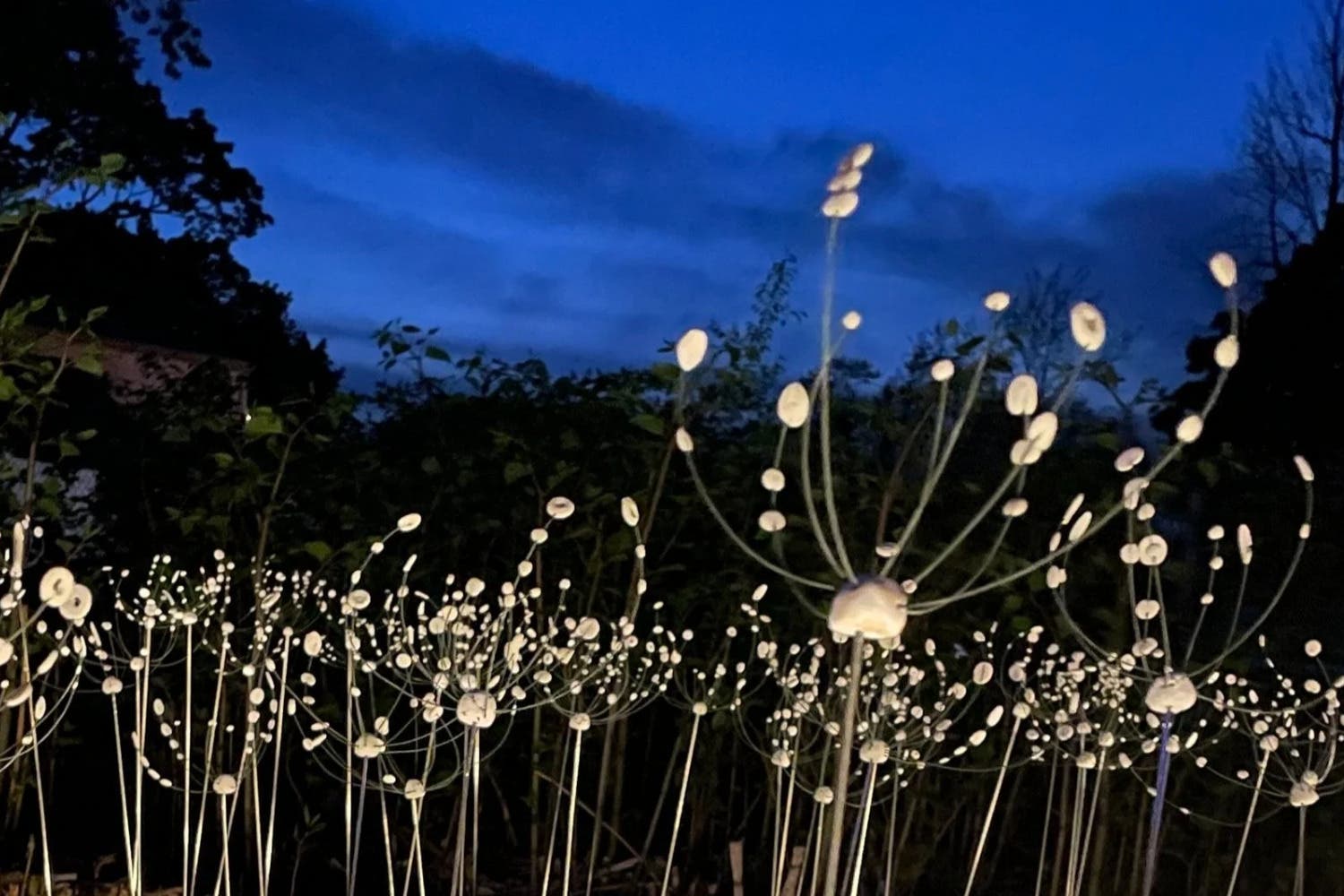 Disperse: Art Ramble by Helen Duncan