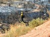 United States Forest Service Fire Fighter assists in putting out the brush fire