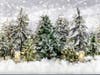 We aren't sure if there will be snow... but we do know, you'll be walking in a winter wonderland with our outdoor forest. We'll complete the background with real trees and all of the props you'll need to feel the outdoor magic come alive!