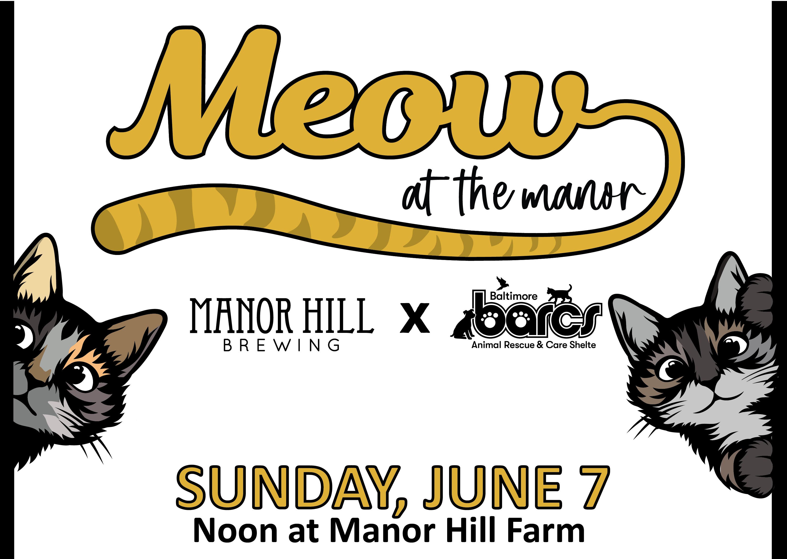 Meow at the Manor Adoption Event (BARCS + Manor Hill)