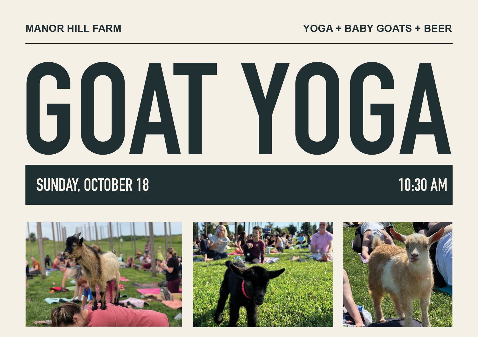 Goat Yoga at Manor Hill