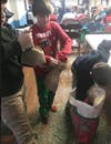 BFS students volunteering at SPCA