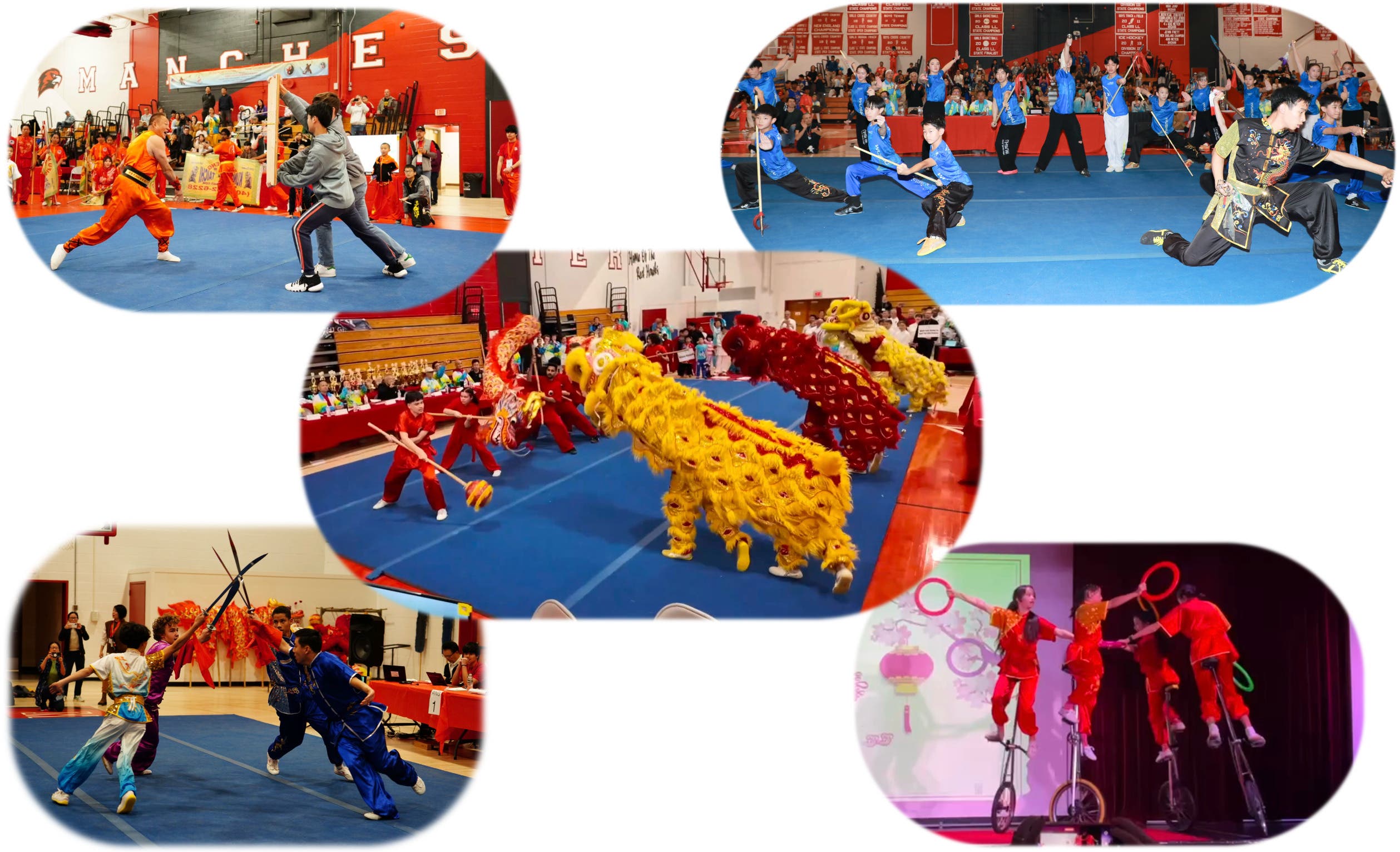 Kung Fu, Lion Dance, and More on Saturday, November 7, 1-2 pm, at Manchester High School!