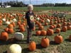 Iris Bing in search of her Great Pumpkin 