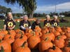 Group pumpkin photo 