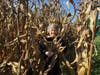 Corn maze fun
