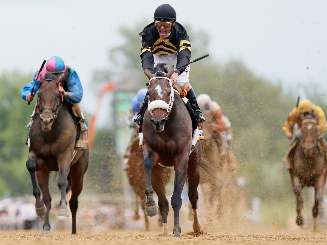 There is a lot going on in Maryland this weekend, including art and beer festivals, cruises, and Preakness celebrations.
