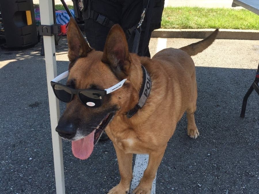 K9 Max joined the force at one year old and faithfully served the Gaithersburg community for eight-and-a-half years.