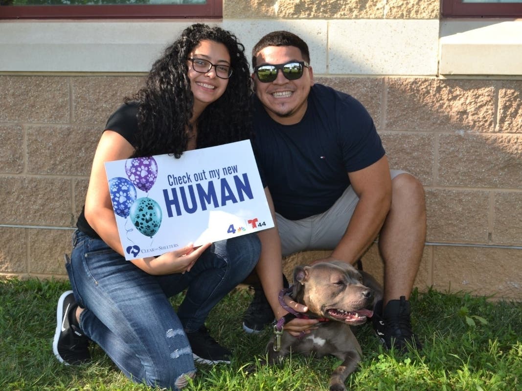 Montgomery County residents turned out in droves to adopt animals during the fifth annual Clear the Shelters event on Saturday.