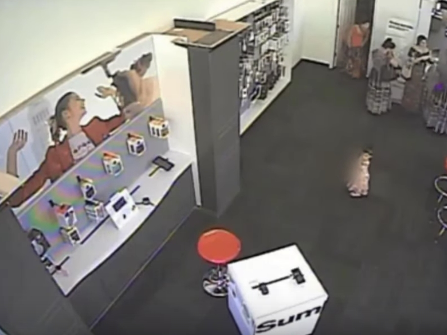 With the help of five thieves, a woman who may have faked being pregnant stole 29 cellphones from a Gaithersburg Verizon store, cops say.