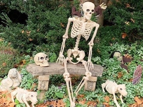 Rockville resident Catherine Engstrom​ says she loves decorating for Halloween. And by the looks of it, her display will not disappoint.