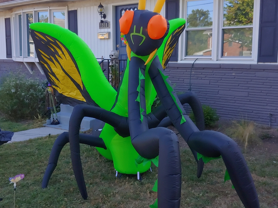 Last year, trick-or-treaters lined up outside Chris Pabon's door just to get a picture with a giant Praying Mantis.