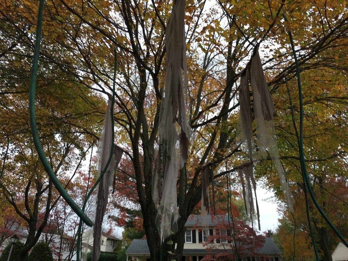 For the past 18 years, this Rockville couple has been scaring the neighborhood with their Halloween decorations.