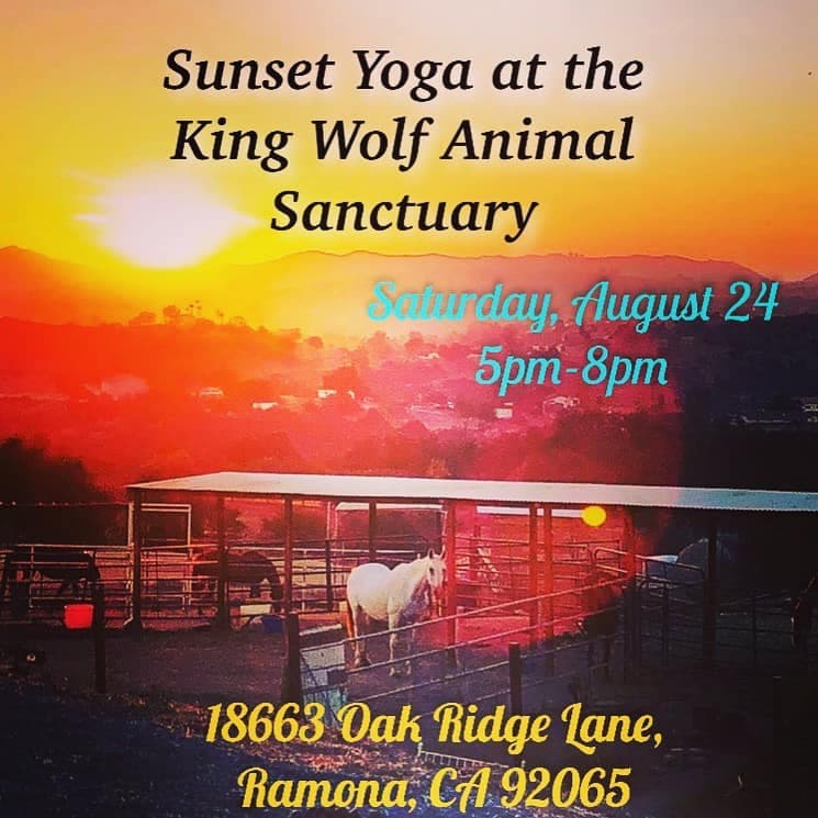 King Wolf Animal Sanctuary