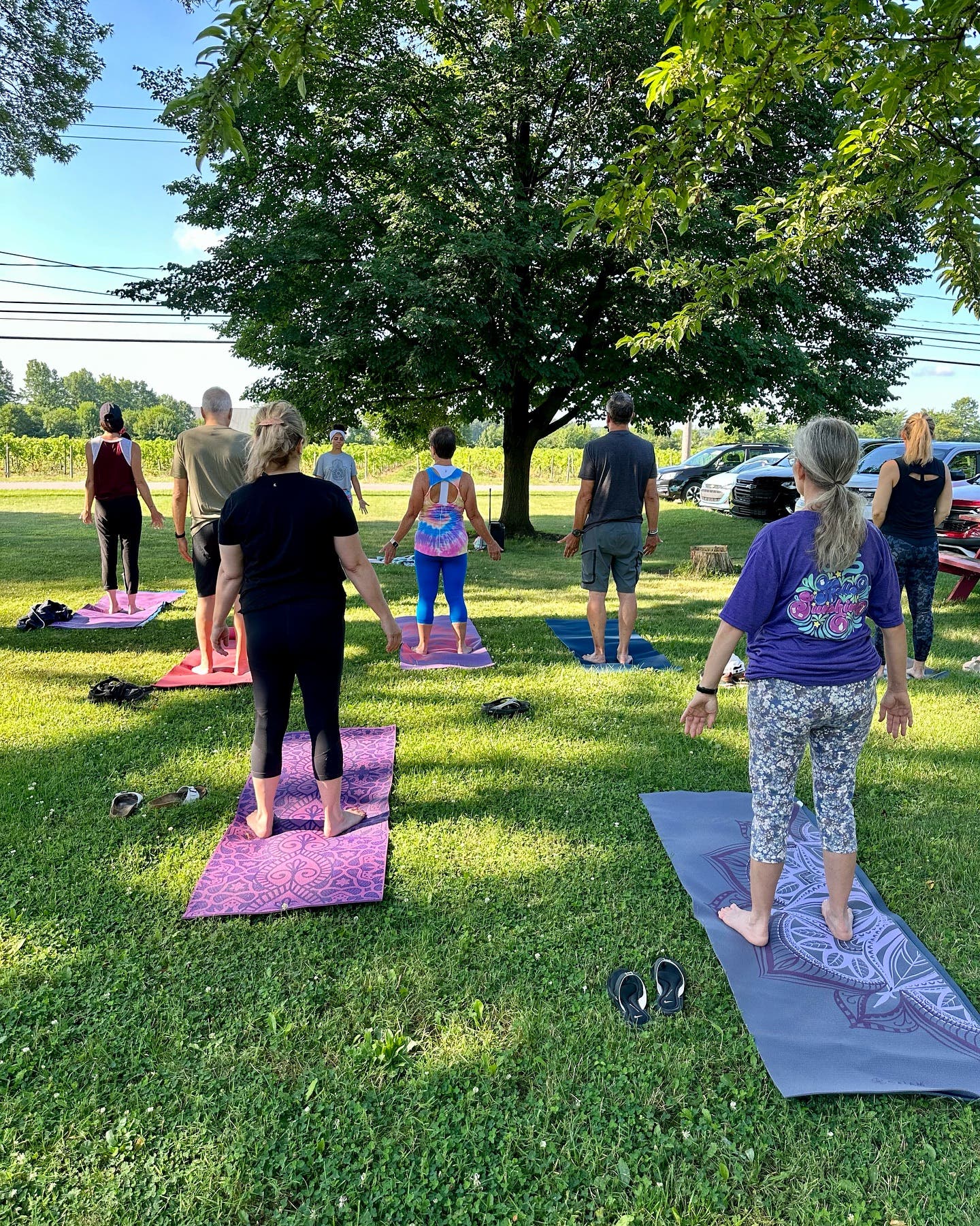 Yoga at winery