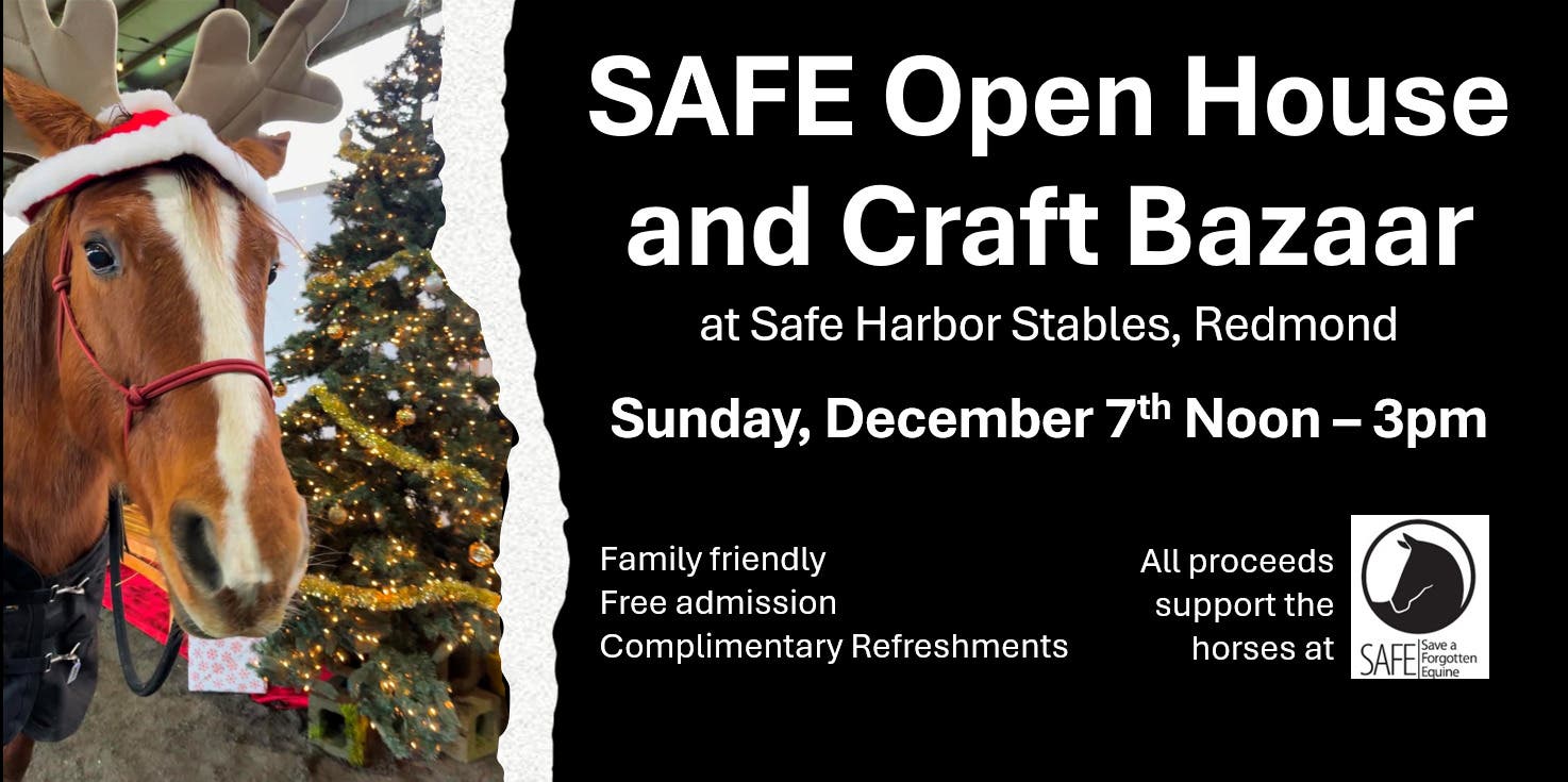 SAFE Holiday Open House and Craft Bazaar