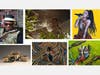 A compilation of works submitted for the 2020 Spring Capstone Project. These works are: Jazz Music - Gabe Smith; Crystal - Arnel Lablanc; Ariana Grande - Jessi Cook; Wooden Tea Set – Ceramic - Arnel Leblanc; Sun and Moon - Jessi Cooke; Tropic - Gabe Smith