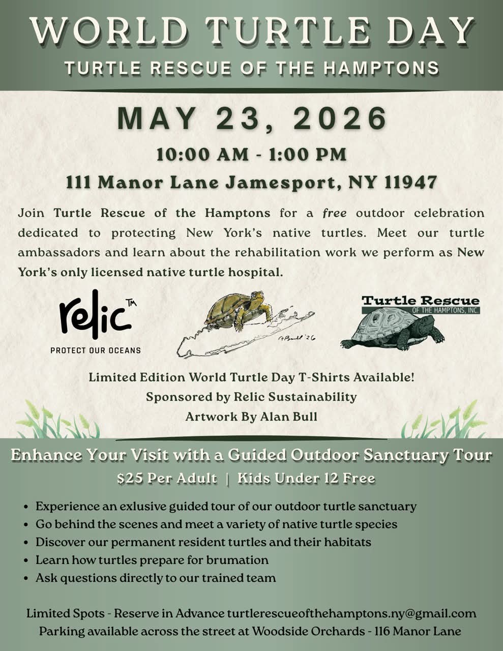 World Turtle Day