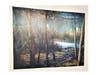 Winter at night in Dan Ryan Woods, part of "Remnants and Remains."